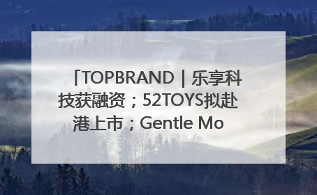 TOPBRAND｜乐享科技获融资；52TOYS拟赴港上市；Gentle Monster合作谷歌；Valentino传播官离职
