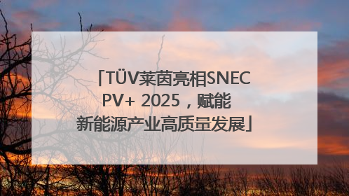 TÜV莱茵亮相SNEC PV+ 2025，赋能新能源产业高质量发展